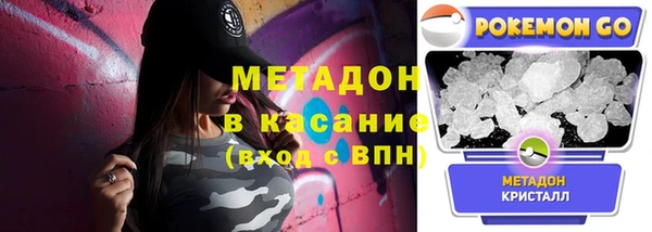 хмурый Аркадак