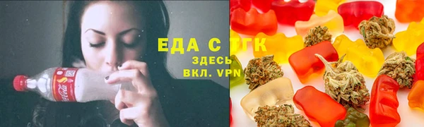 хмурый Аркадак