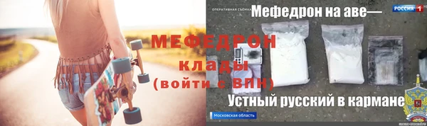 хмурый Аркадак