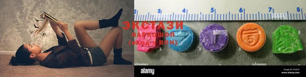 хмурый Аркадак