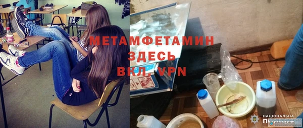 хмурый Аркадак