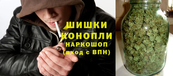 хмурый Аркадак