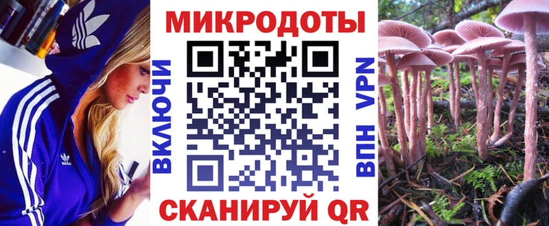 Галлюциногенные грибы GOLDEN TEACHER  Новопавловск 
